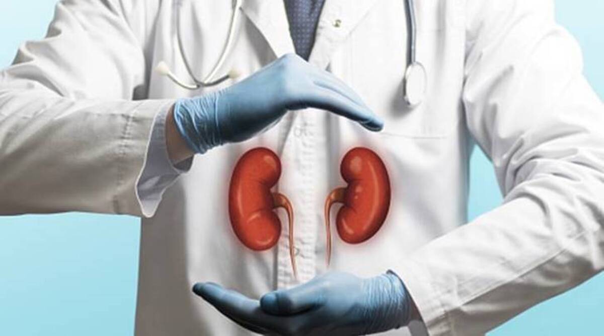 sell and donate kidney | Gallery